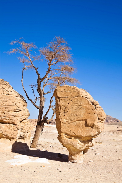 _mg_7223.jpg