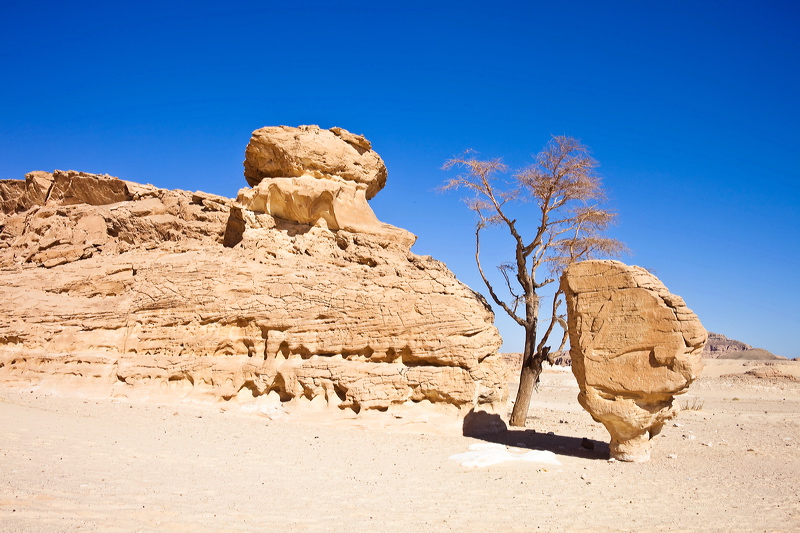 _mg_7224.jpg