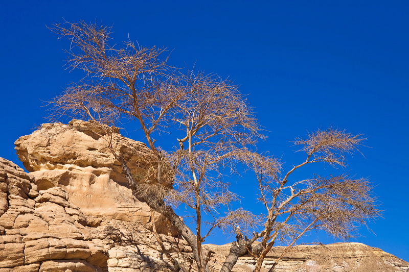 _mg_7229.jpg