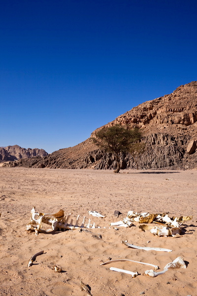 _mg_7238.jpg