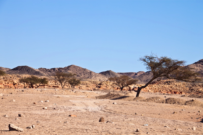 _mg_7254.jpg