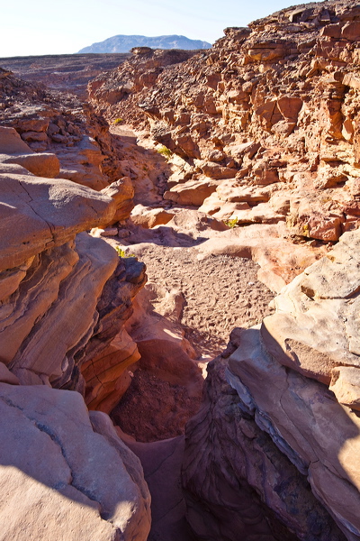 _mg_7264.jpg