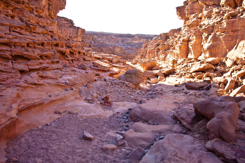 _mg_7284.jpg
