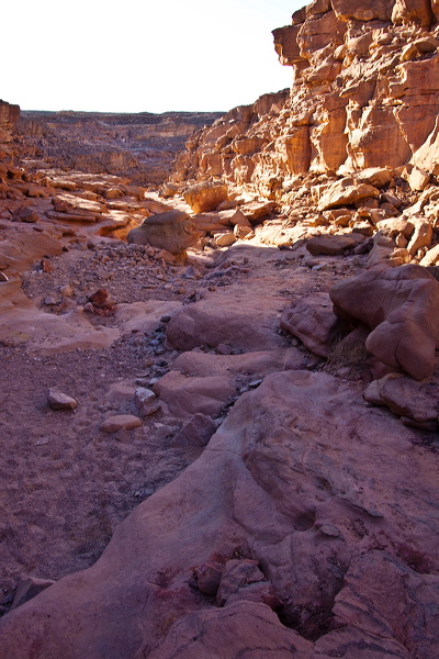 _mg_7285.jpg