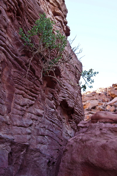 _mg_7313.jpg