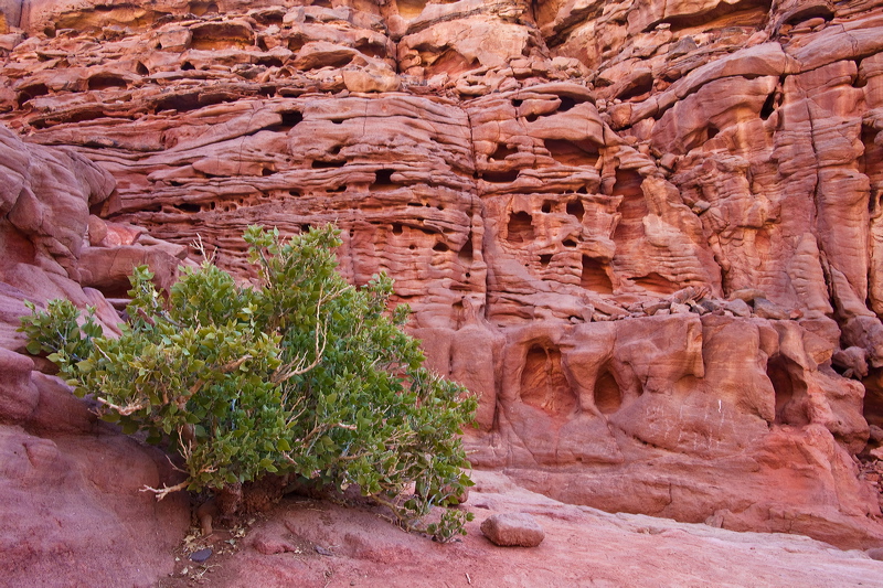 _mg_7315.jpg