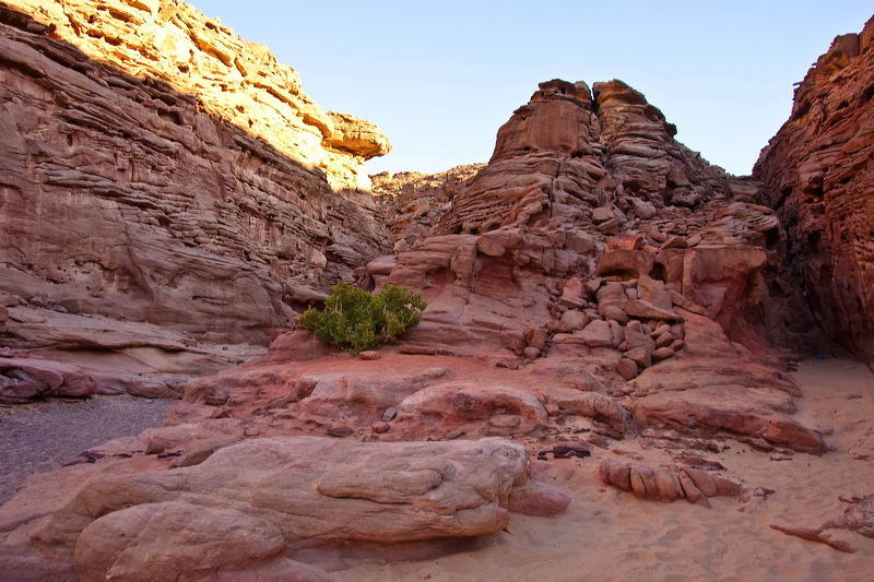 _mg_7318.jpg