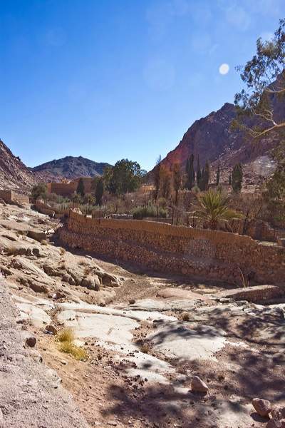 _mg_7325.jpg