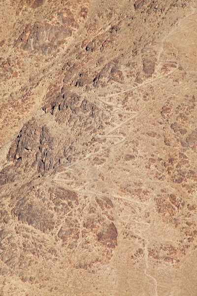 _mg_7365.jpg