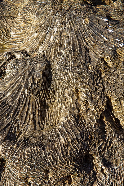 _mg_7437.jpg