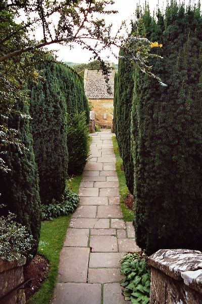 001557.jpg