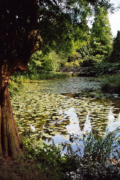 001592.jpg
