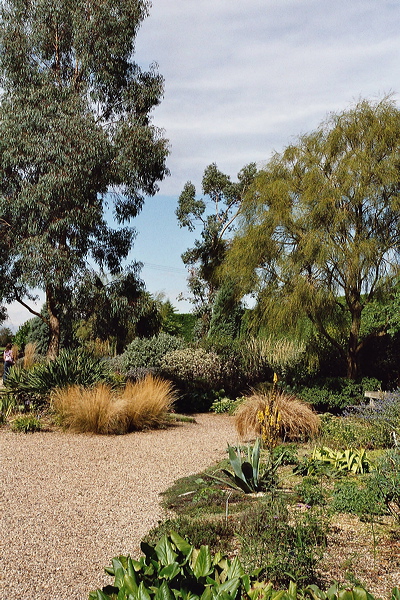001605.jpg