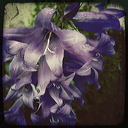 everyday_stills_01