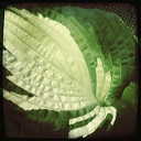 everyday_stills_04