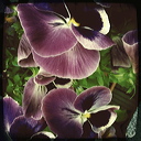 everyday_stills_07