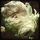 everyday_stills_16