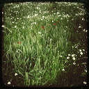 everyday_stills_19