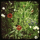 everyday_stills_20