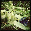 everyday_stills_21