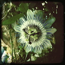 everyday_stills_23