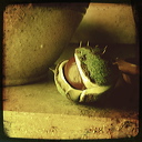 everyday_stills_24
