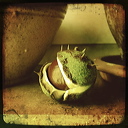 everyday_stills_25
