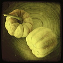everyday_stills_26