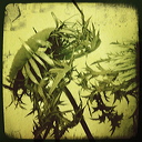 everyday_stills_27