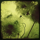 everyday_stills_28