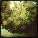 everyday_stills_29
