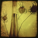 everyday_stills_34
