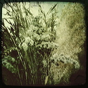 everyday_stills_37