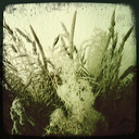 everyday_stills_38