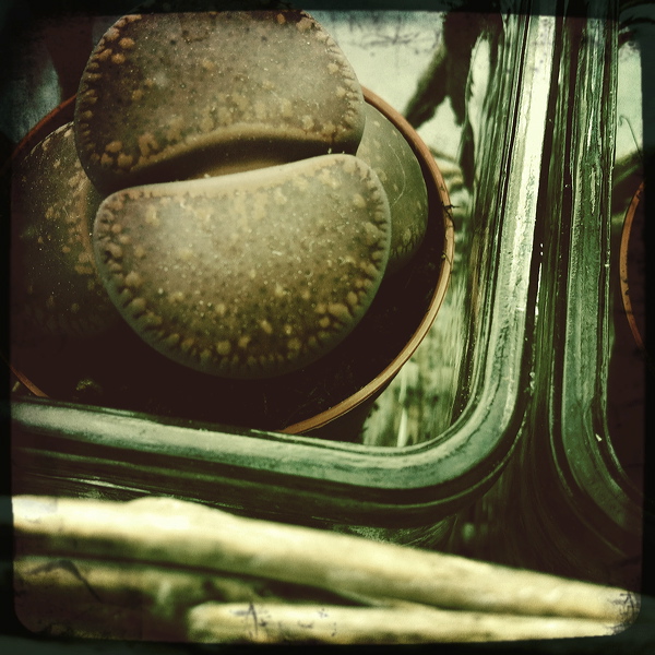 everyday_stills_02.jpg