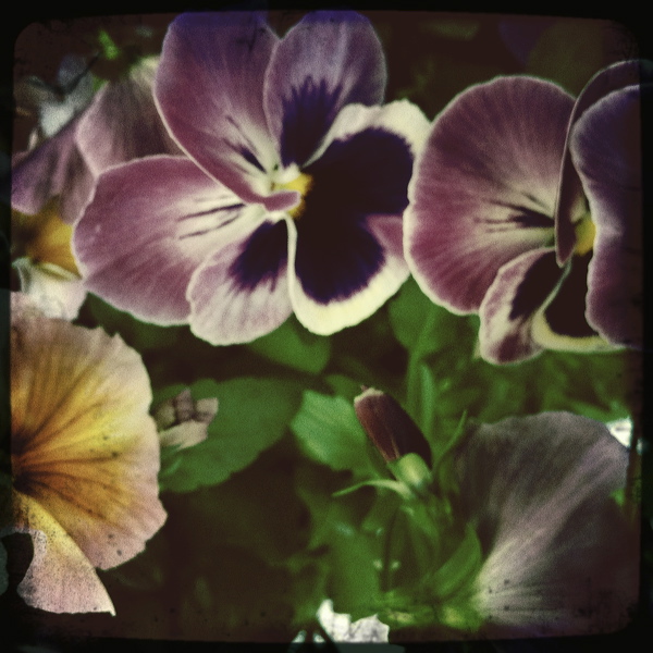 everyday_stills_06.jpg