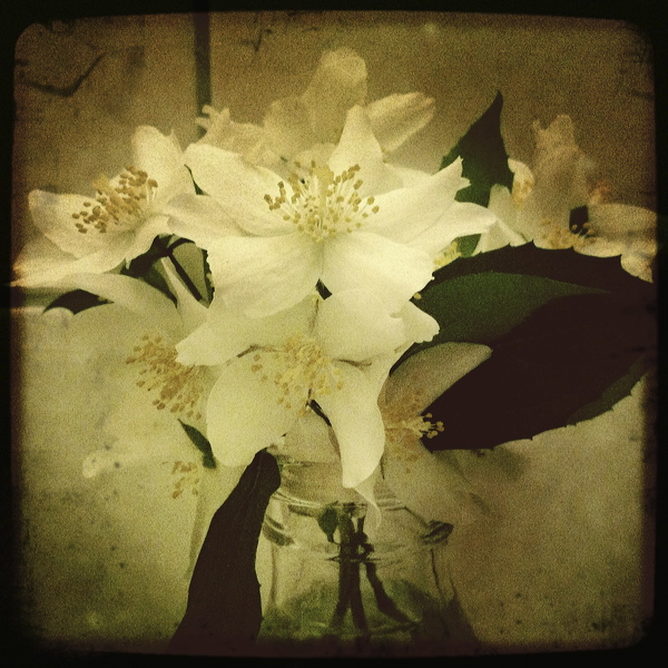everyday_stills_12.jpg