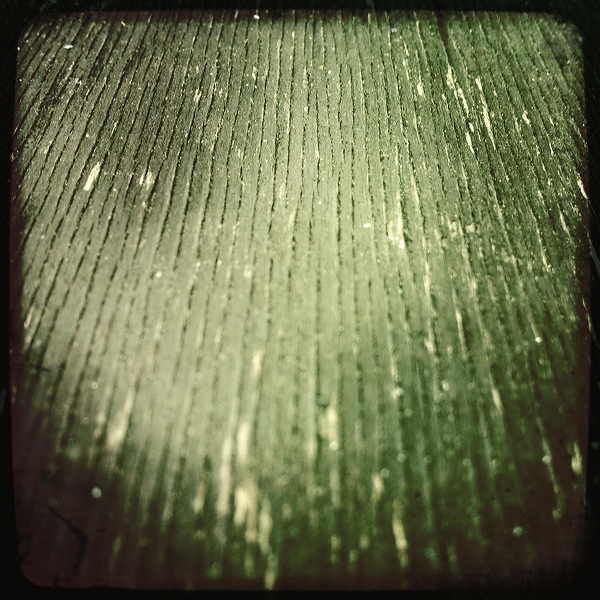 everyday_stills_14.jpg