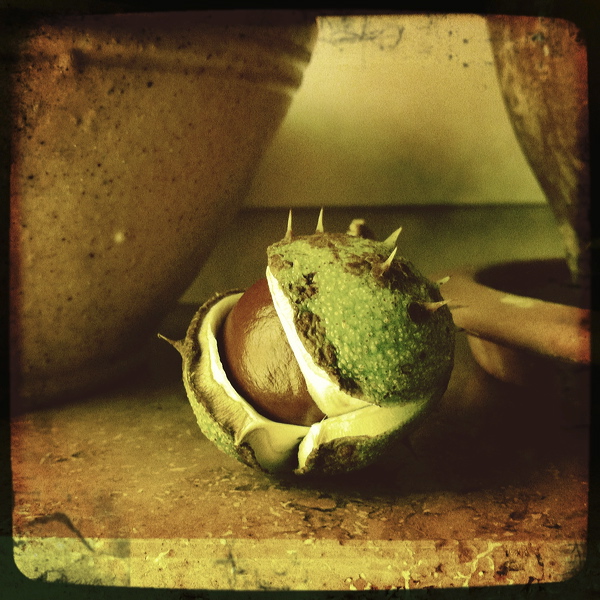 everyday_stills_25.jpg