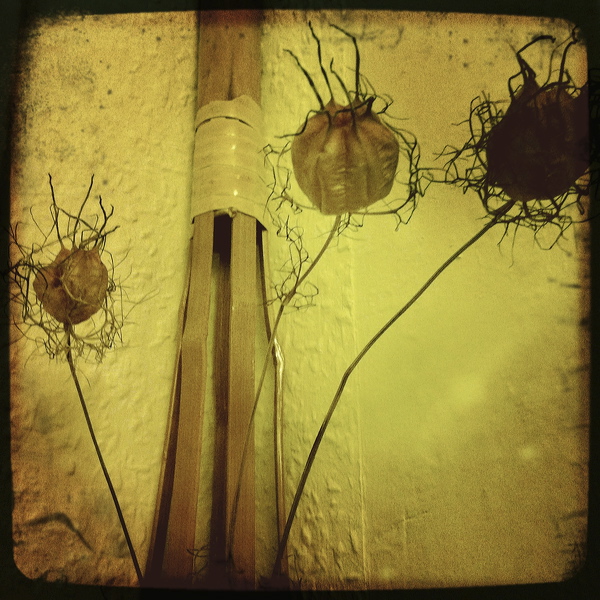 everyday_stills_34.jpg