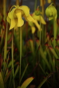 004084