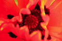 004085