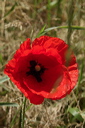 004090