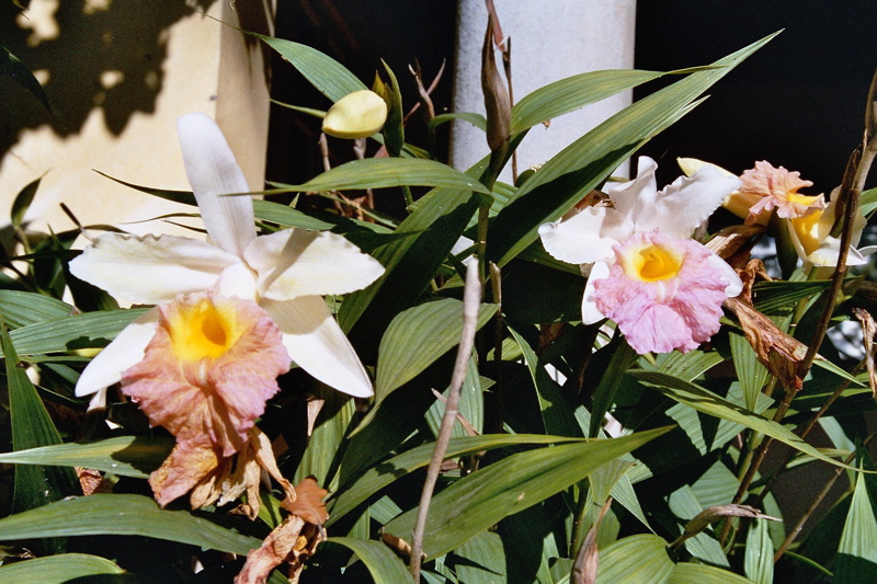004010.jpg