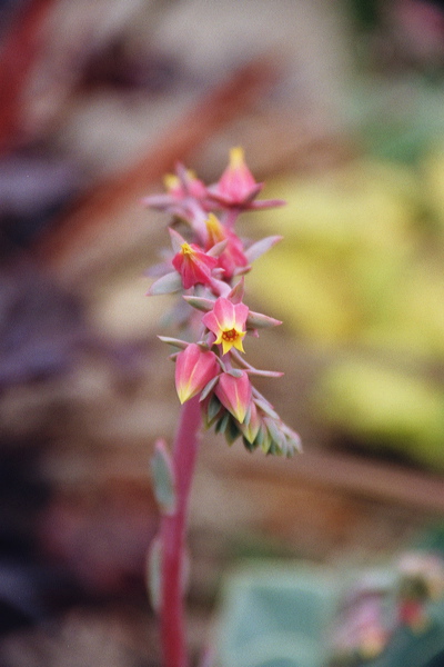 004034.jpg