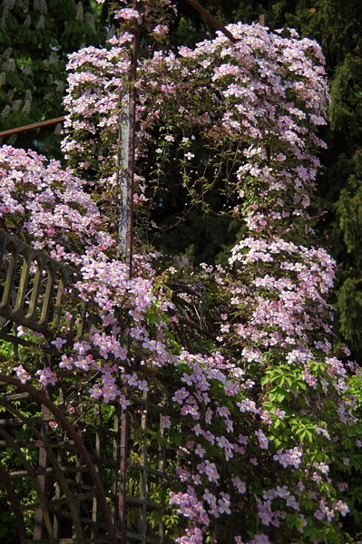 004069.jpg