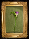 010021