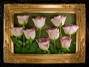 010032