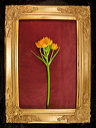 010035