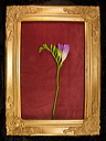 010036